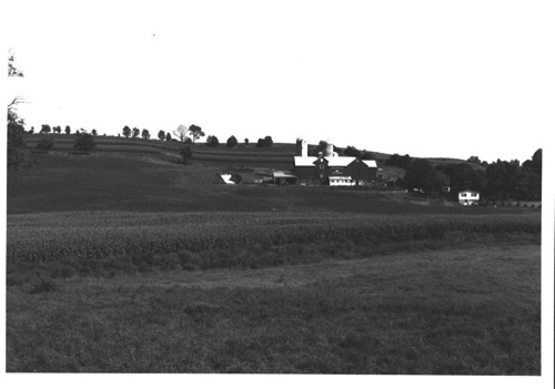 Brookview Farm (Harry & Dottie Talmadge). 1982 chs-001066
